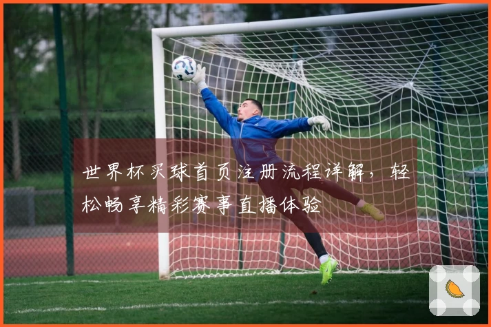 世界杯买球首页注册流程详解，轻松畅享精彩赛事直播体验