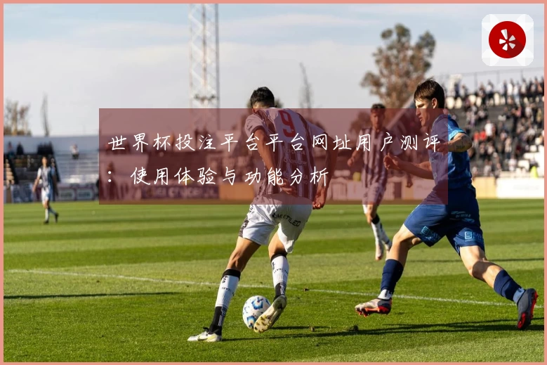 世界杯投注平台平台网址用户测评:使用体验与功能分析
