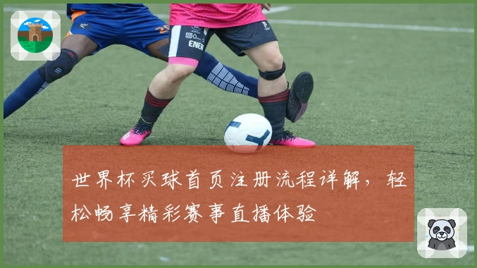 世界杯买球首页注册流程详解，轻松畅享精彩赛事直播体验