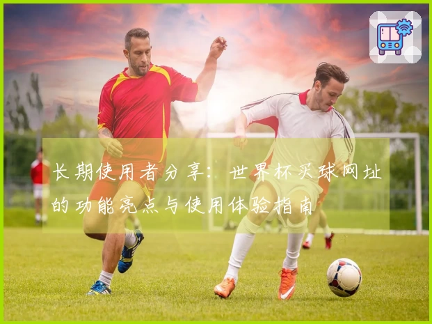 长期使用者分享：世界杯买球网址的功能亮点与使用体验指南