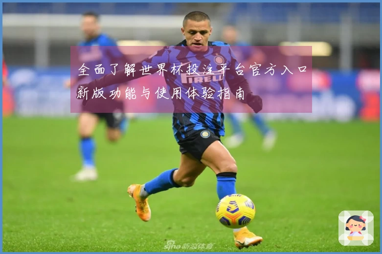 全面了解世界杯投注平台官方入口新版功能与使用体验指南