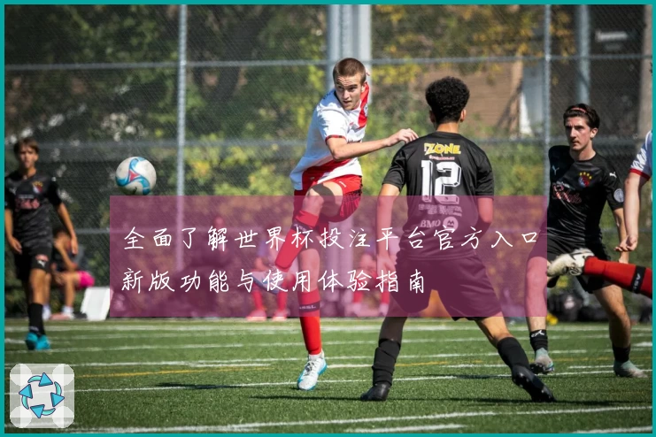 全面了解世界杯投注平台官方入口新版功能与使用体验指南