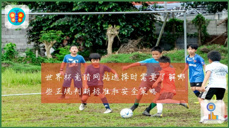 世界杯竞猜网站选择时需要了解哪些正规判断标准和安全策略