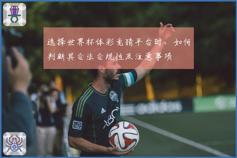 选择世界杯体彩竞猜平台时，如何判断其合法合规性及注意事项