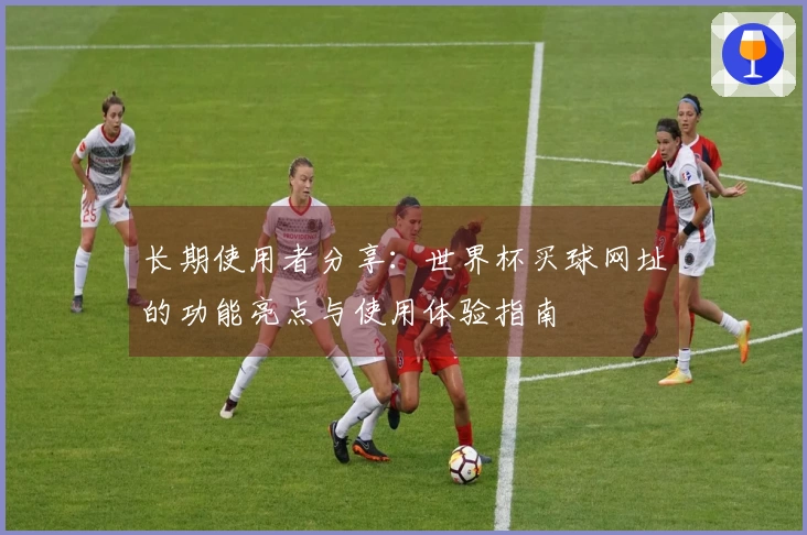 长期使用者分享：世界杯买球网址的功能亮点与使用体验指南