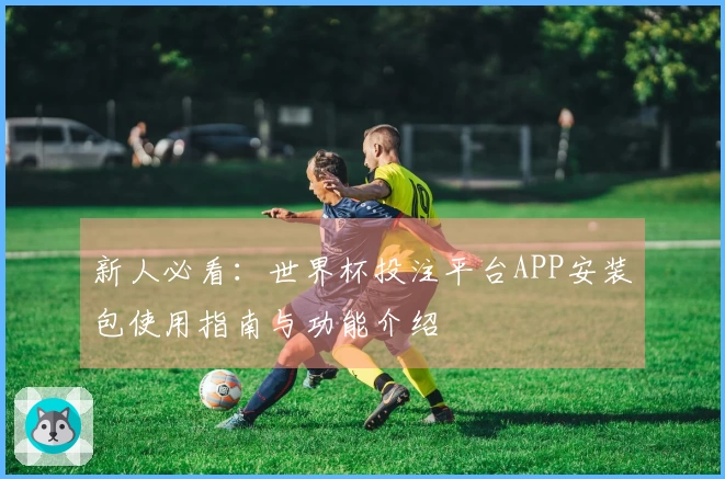 新人必看：世界杯投注平台APP安装包使用指南与功能介绍