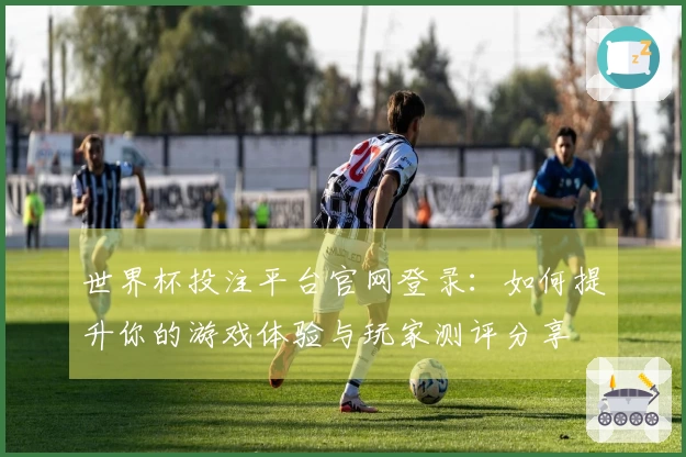 世界杯投注平台官网登录：如何提升你的游戏体验与玩家测评分享